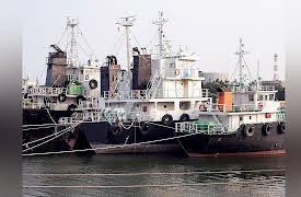 Life in the World's Oceans: Marine Megavertebrates and Their Fisheries