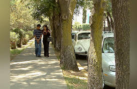 Lo Que Callamos Las Mujeres: Memories of a Gordoteca