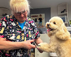 Unser Dorf hat Wochenende