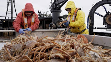 1:00 AM: Deadliest Catch (S18) | Discovery Channel | 8/12 2026