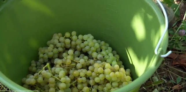 04:40: Die Nordreportage: Hofgeschichten | NDR Fernsehen | 12/1 2025