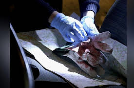 Crime Time Solvers: Double Murder in the Barn