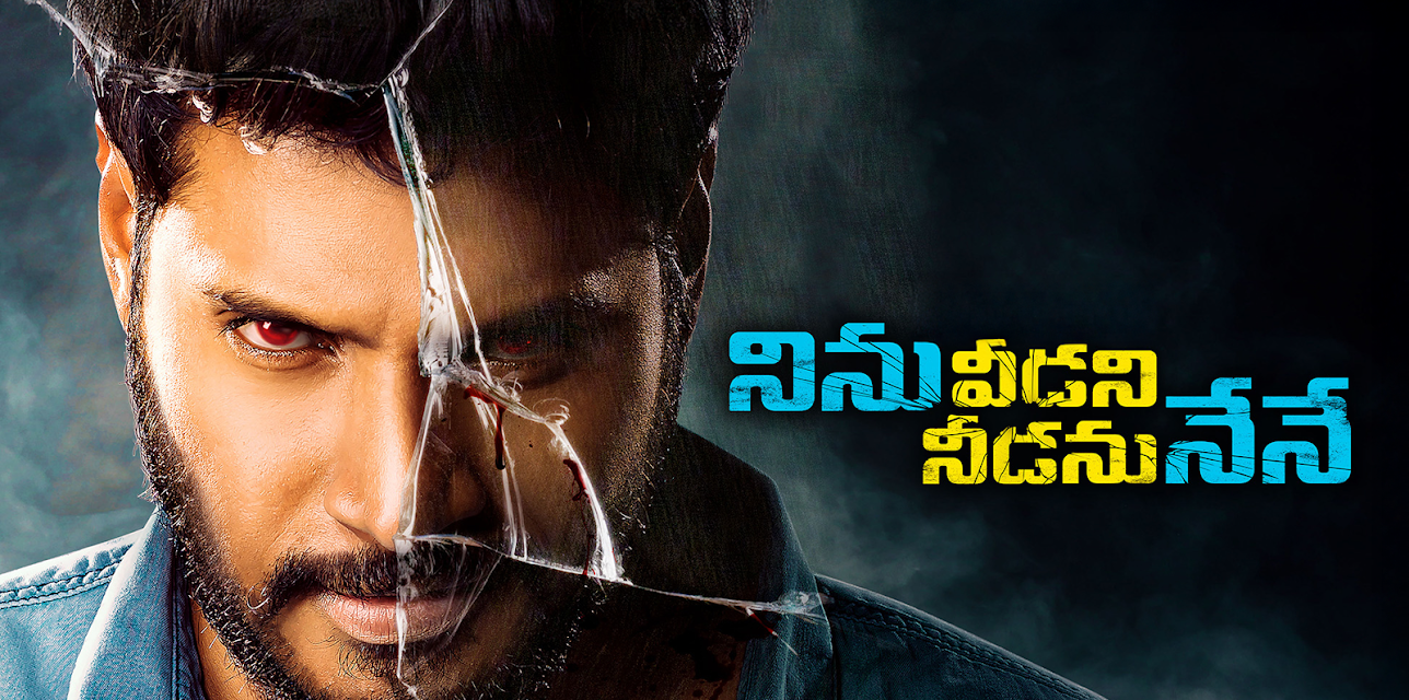 Ninu Veedani Needanu Nene (2019)