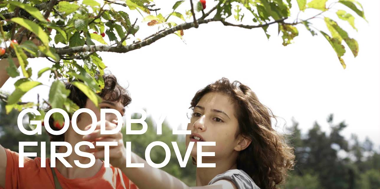 Goodbye First Love (2011)