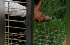 Roseanne's Nuts Season 1: Lu'au Launch Party