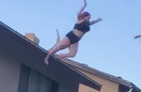 Wild & Weird America, Season 1: It Seemed Like a Good Idea