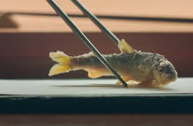 Tacons historia: Episode 7