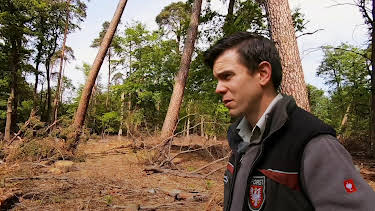 06:50: SOS Stadtwald | HR Fernsehen | 4/27 2026