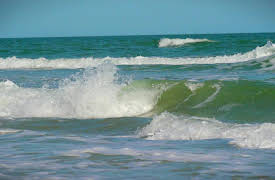 Beach Hunters: Beach Life on Topsail Island
