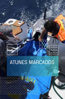 17:00: Atunes marcados | Caza y Pesca | 2/1 2026