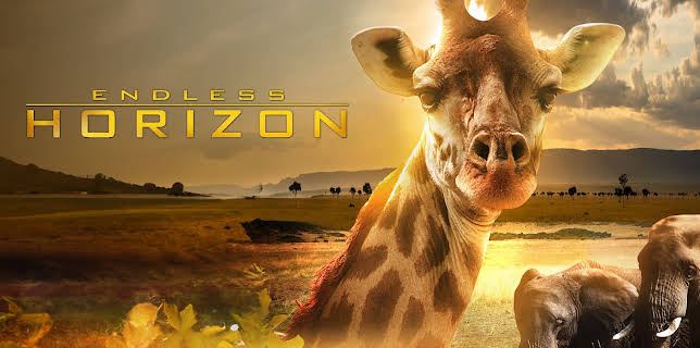 Endless Horizon (2012)