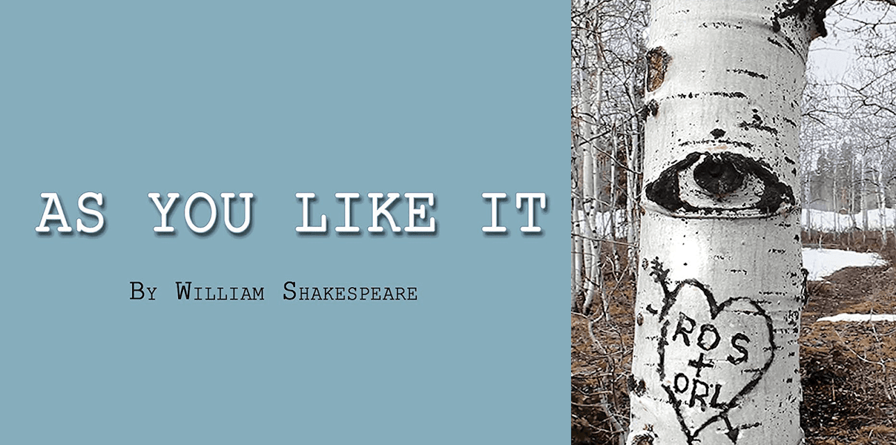 As You Like It by William Shakespeare (2013)