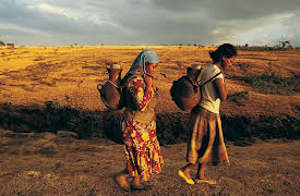 Customs of the World: Using Cultural Intelligence to Adapt, Wherever You Are: Sub-Saharan African Cultures