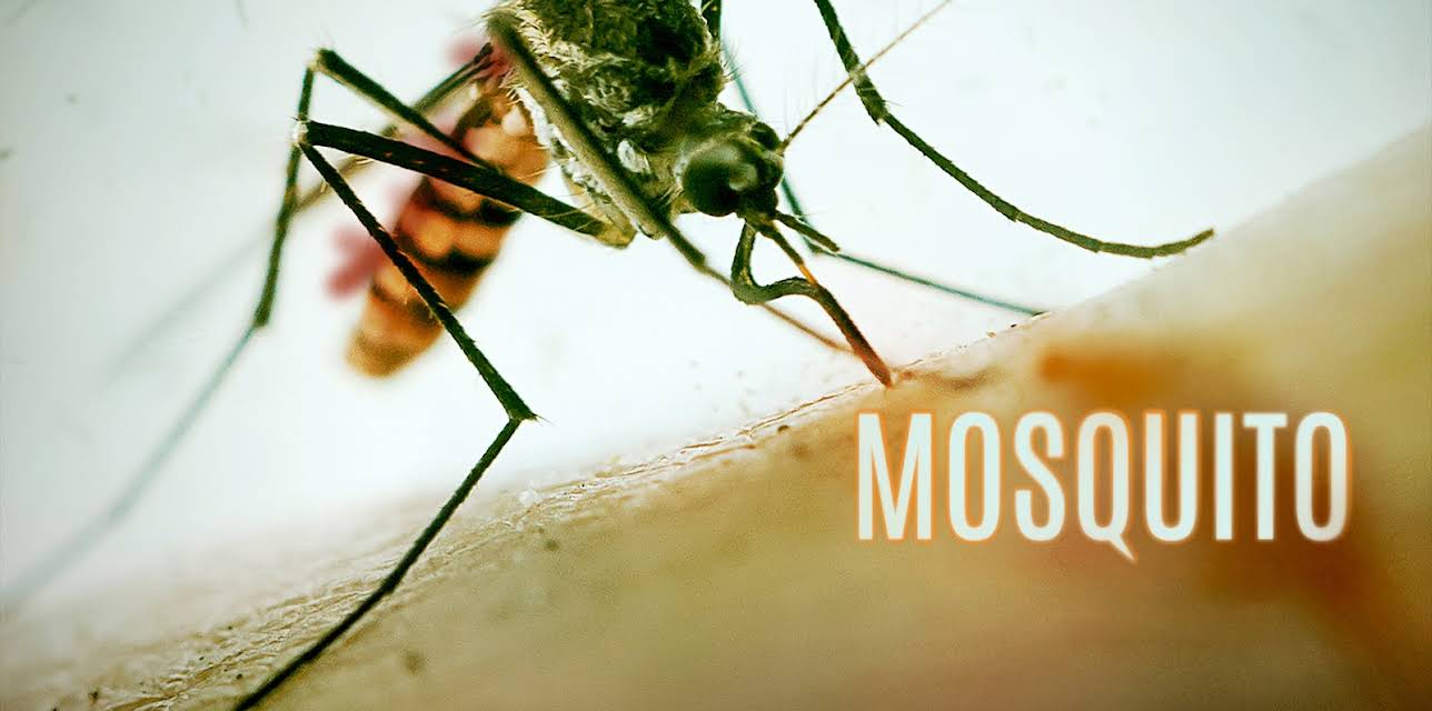Mosquito Season 1