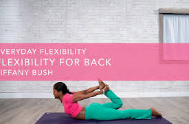 Everyday Flexibility: Flexibility for Back