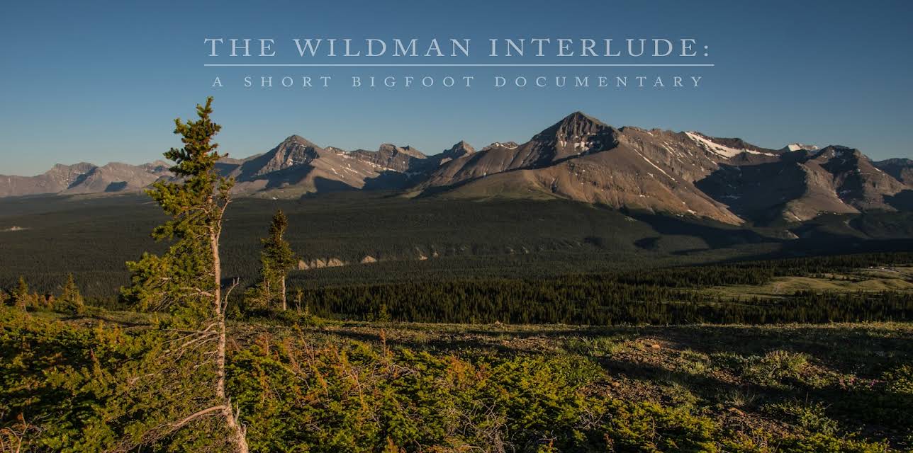 The Wildman Interlude: A Short Bigfoot Documentary (2017)