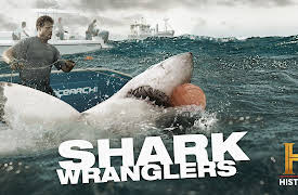 Shark Wranglers: Bay of the Fighting Sharks