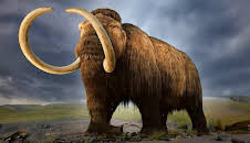 Verborgen im Eis: Geheimnisse aus der Vergangenheit