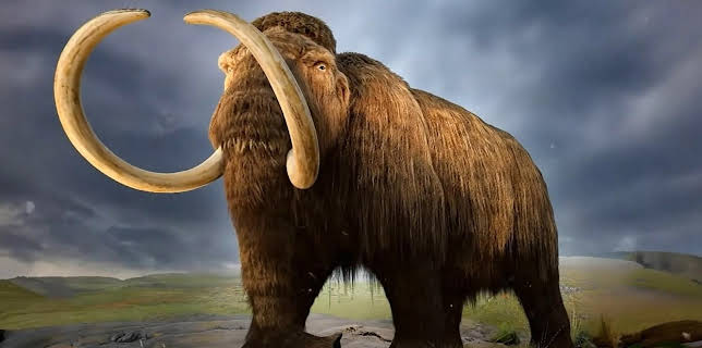 12:45: Verborgen im Eis: Geheimnisse aus der Vergangenheit | Kabel Eins Doku | 1/11 2026