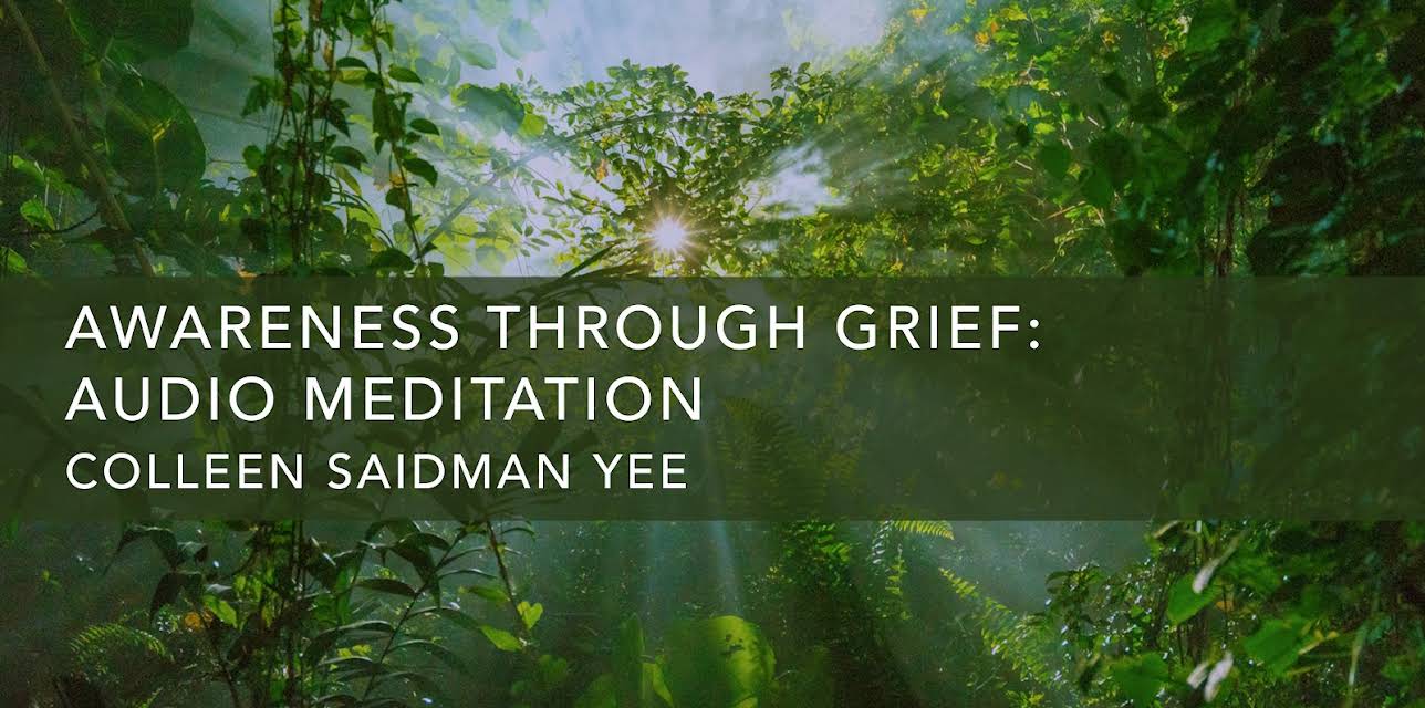Awareness Through Grief: Audio Meditation (2020)