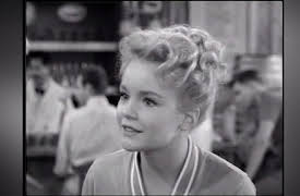 The Many Loves Of Dobie Gillis: Season One: Love Is A Science