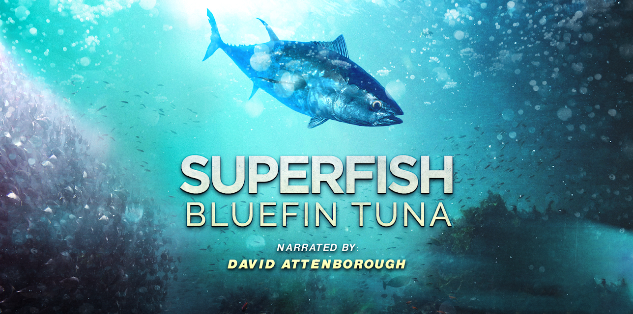 Superfish: Bluefin Tuna - Narrated by David Attenborough (2012)