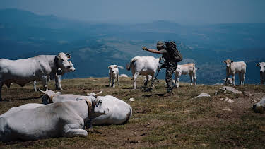 14:30: Metal Detective - Spurensucher der Geschichte | Kabel Eins Doku | 4/3 2026