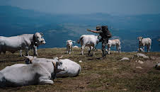 Metal Detective - Spurensucher der Geschichte
