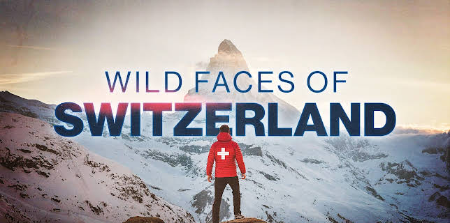 Wild Faces of Switzerland