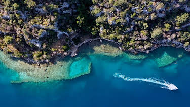 7:55 PM: The SpeciaList | BBC News | 3/31 2026