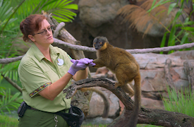 En dag hos Disney (Kortfilmer): Kris Becker: Dyrepasser