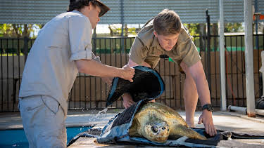 18:00: Crikey! It's the Irwins (S2 E10) (S2) | Animal Planet | 11/10 2025
