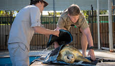 Crikey! It's the Irwins (S2 E10)