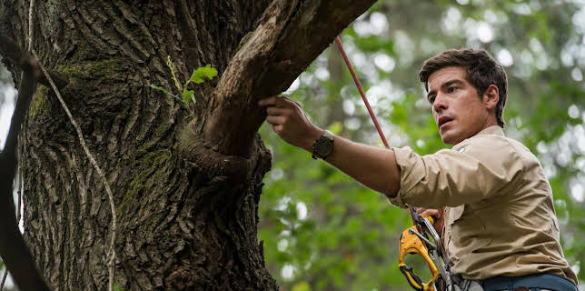 15:30: Der Ranger - Paradies Heimat: Zeit der Wahrheit | Das Erste | 2/8 2026