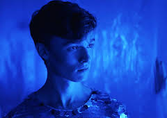Sequin in a Blue Room