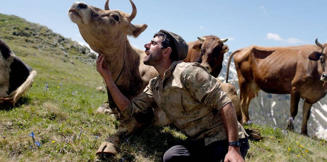 08:35: 360° Reportage | Arte | 3/7 2026