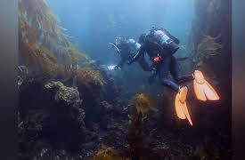 West of the West: Tales from California's Channel Islands: Settlers