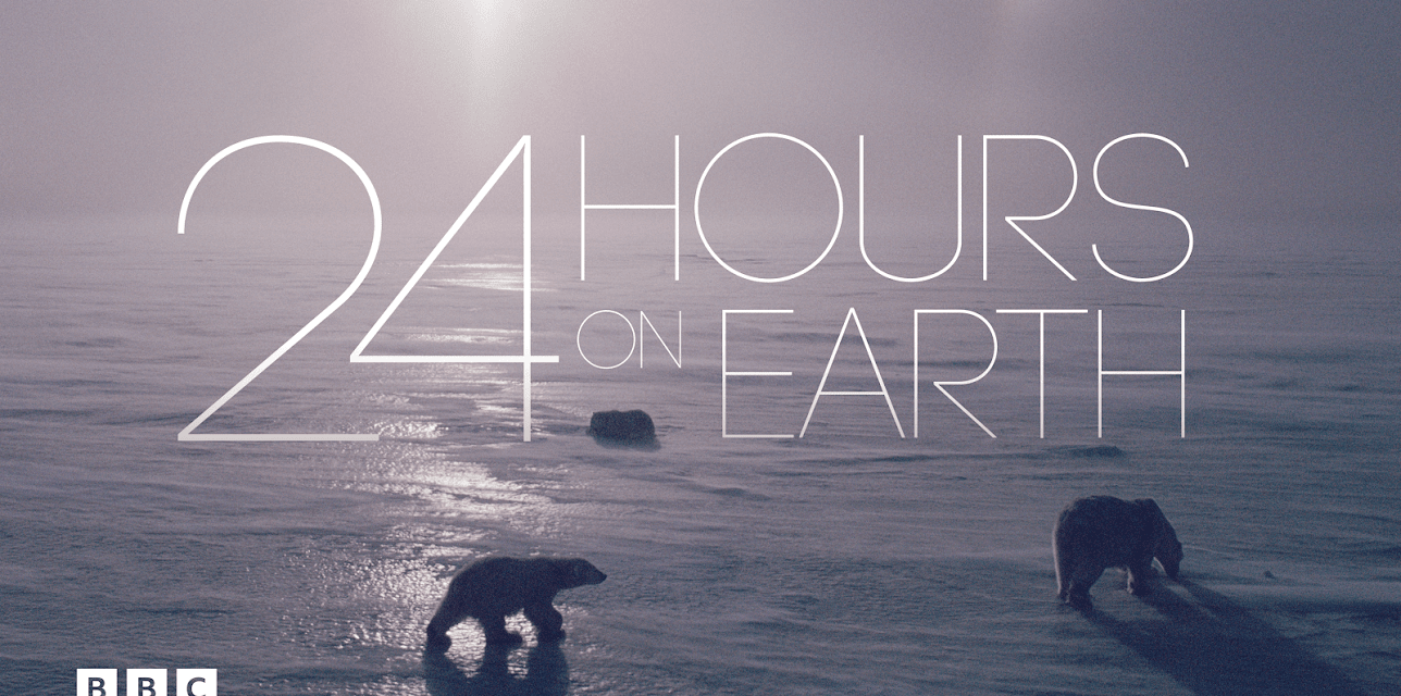 24 Hours on Earth