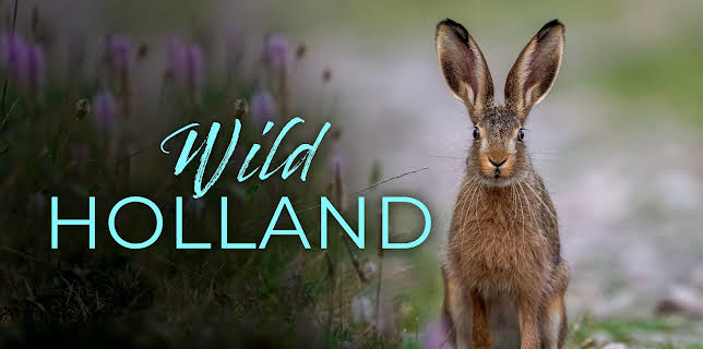 Wild Holland