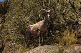 Heart of the World: Colorado's National Parks, Season 1: Water