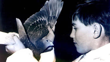 1:40 AM: Timeshift (S16) | BBC Four | 1/7 2026