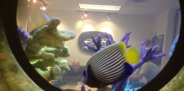 21:00: Tanked (S3 E17) (S3) | Animal Planet | 2/8 2026