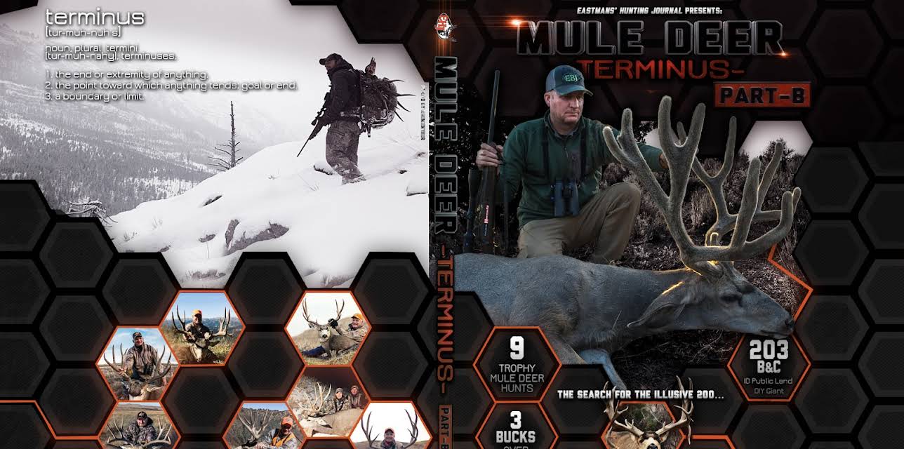 Mule Deer Terminus Part B (2026)