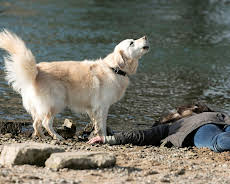 Rentnercops (S02/E03)