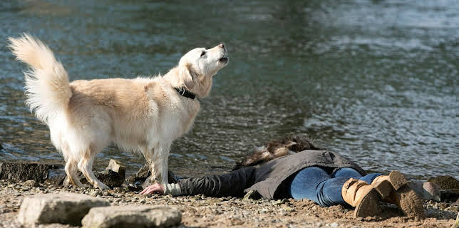 09:45: Rentnercops (11) | MDR Fernsehen | 2/9 2026