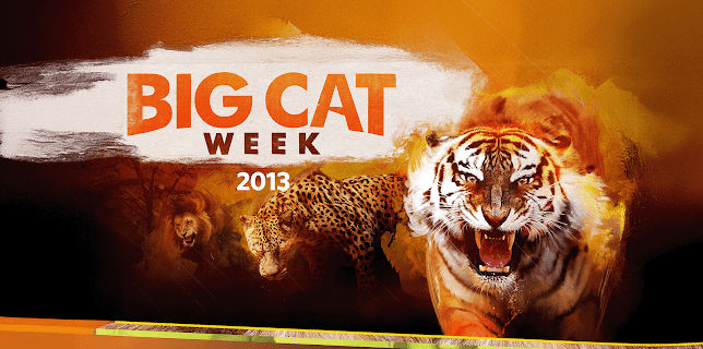 Big Cat Week 2013  Season 1