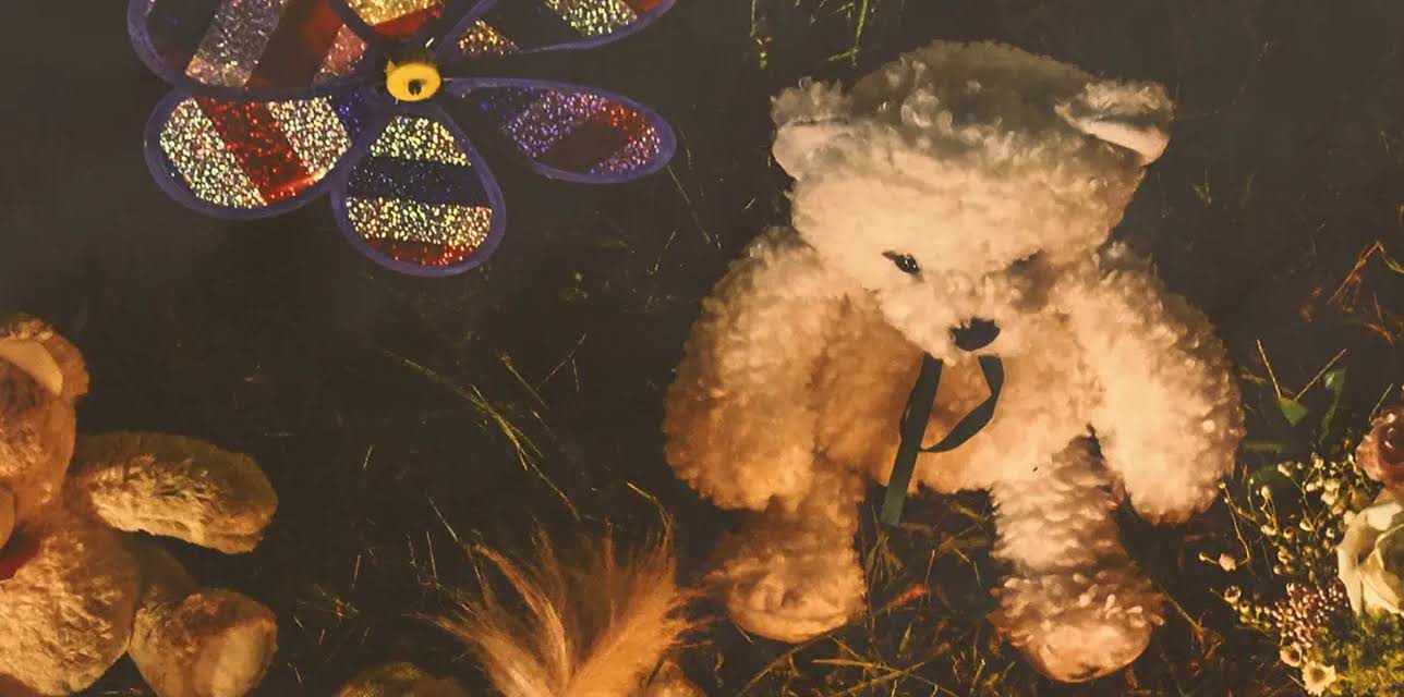 The Murder of Gabby Petito: What Really Happened (2022)