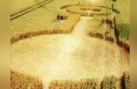 The Alien Files: UFOs Under Investigation: Mysterious Phenomena