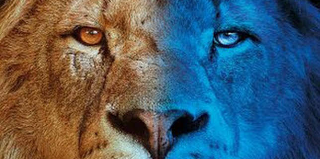 02:15: Felinos noche y día: Episodio 2 | Canal Cocina | 12/13 2025