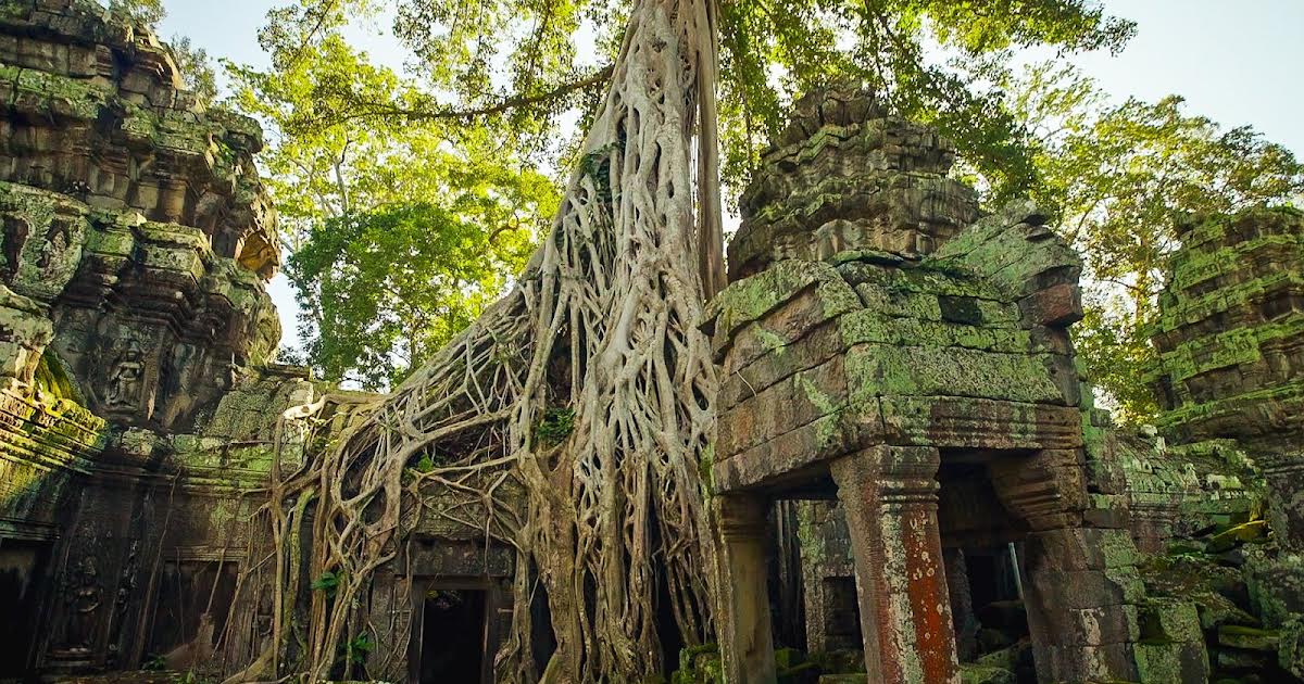 Angkor Vats hemmeligheder | TVGuide